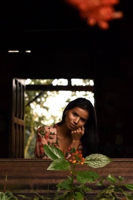 Artipoppe images